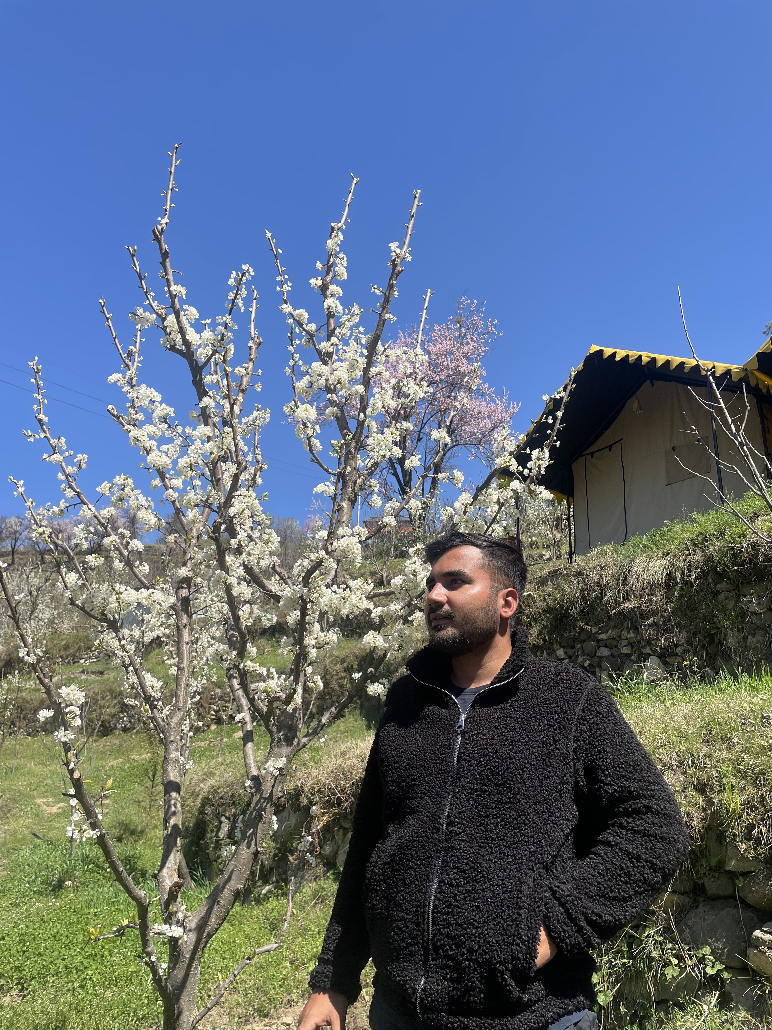Rahul's profile picture